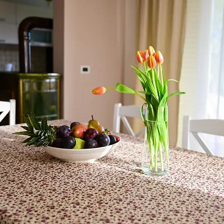 Appartement Laetitia